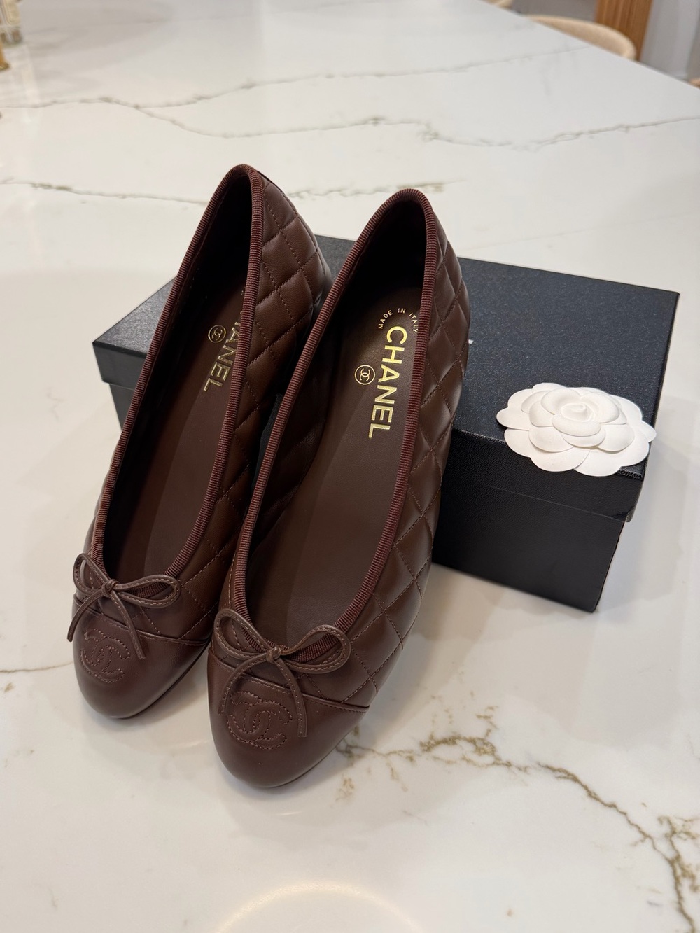 CHANEL Ballet Flats Dark Brown 39 Brand New